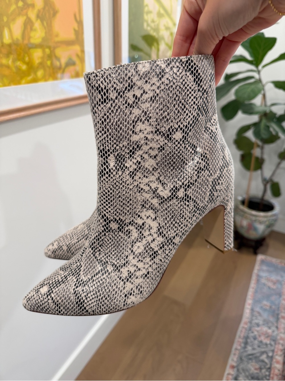 Chinese Laundry Snake-Print Pointed Toe Ankle Boots - Black, Cream, Grey